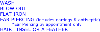 WASH BLOW OUT FLAT IRON EAR PIERCING (includes earrings & antiseptic)         *Ear Piercing by appointment only HAIR TINSEL OR A FEATHER